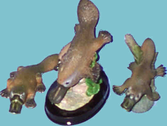 Pictures and information about Platypuses. My Spirituality and beliefs.