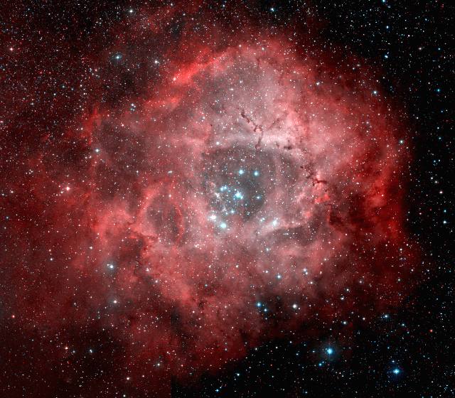 A Nebulosa Roseta