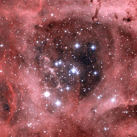 NGC 2244