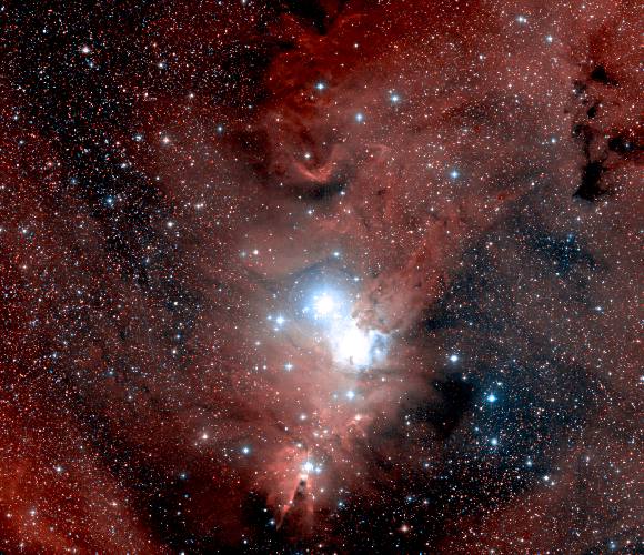 A Nebulosa Cone