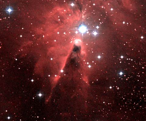A Nebulosa Cone