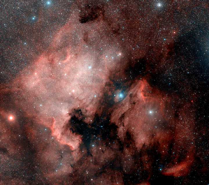 NGC 7000 - As Nebulosas América do Norte e Pelicano