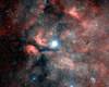 Nebulosa Gamma Cygni