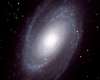 Grupo M81