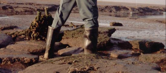 Wellies in hotsell deep mud