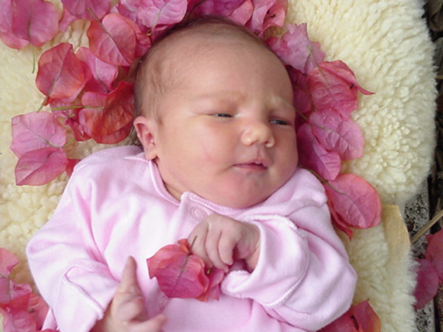 Sophia Maya Barimo was born at South Miami Hospital on December 8th, 1999. Little Sophie weighed 6 lb 9 oz and was 19 inches long at birth. - sophie2