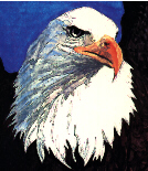 Detail from a watercolor painting, 'Eagle, spreading wings over rocks', (1990), by Kathryn Bentley.