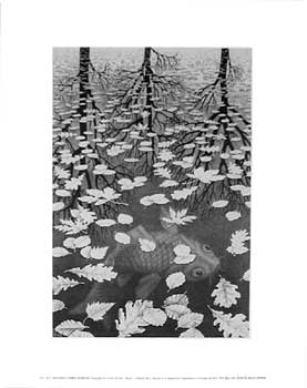 Three Worlds, by M.C. Escher