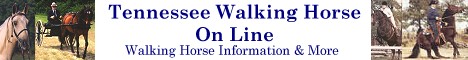 Tennessee Walking Horse On Line A Resource Site