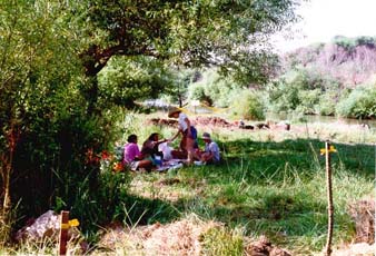 Lunch in the shade