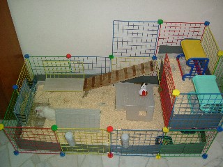 DIY Cage Construction