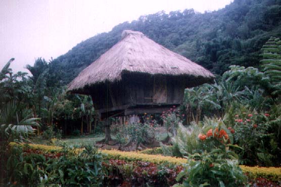 Ifugaohuts