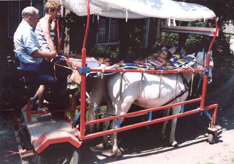 Having fun in a horse cart bed