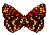 bx-Butterfly1.gif - 3594 Bytes