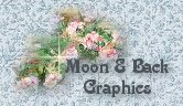 Moon and Back Graphics