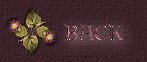 My Dedication Pages - Index
