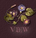 View My Guest Book!