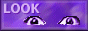 Look But Don't Steal!