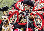 Mardi Gras Parade