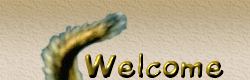 Welcome!