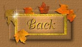 Thanksgiving Recipes!