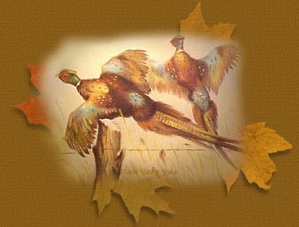 Pheasants