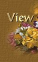 View My Guestbook!