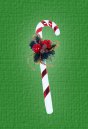 Candy Cane