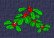 Holly