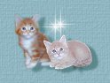 Kittens