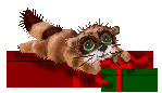 Hmmm... What's in here? GIF Animation by (c) Kitty Roach