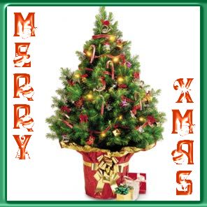 Merry Christmas!!