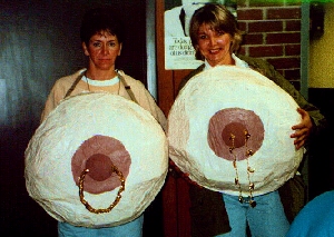 a pair a boobs