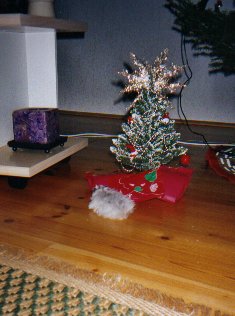Tupu ja oma joulukuusi 2001