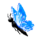 blue flying butterfly