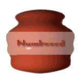 numbweed