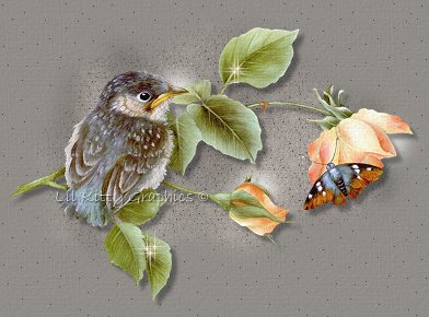 BabyBirds