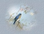 Spring Bird