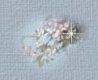 Spring Flowers