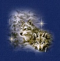 winterwatch