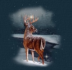 winterdeep