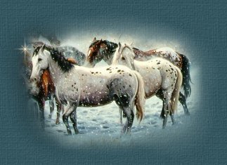 winterwarmth