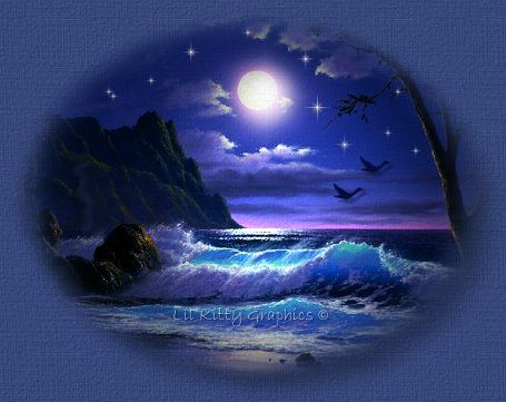plk_moonlight