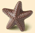 milkchocostarfish