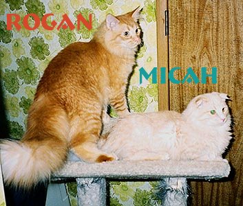 Rogan & Micah