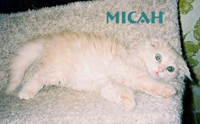 Baby Micah-7 weeks