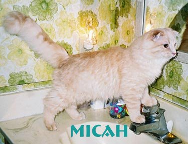 Baby Micah-6 months