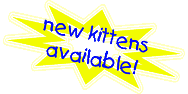 CLICK HERE to see available kittens
