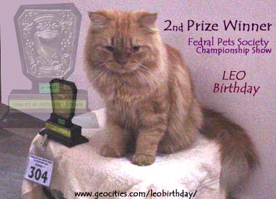 Leo stood 2nd in the Cat Show organized by the Federal Pet Society in Hyderabad, India! Hurrah!