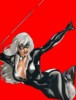 black cat